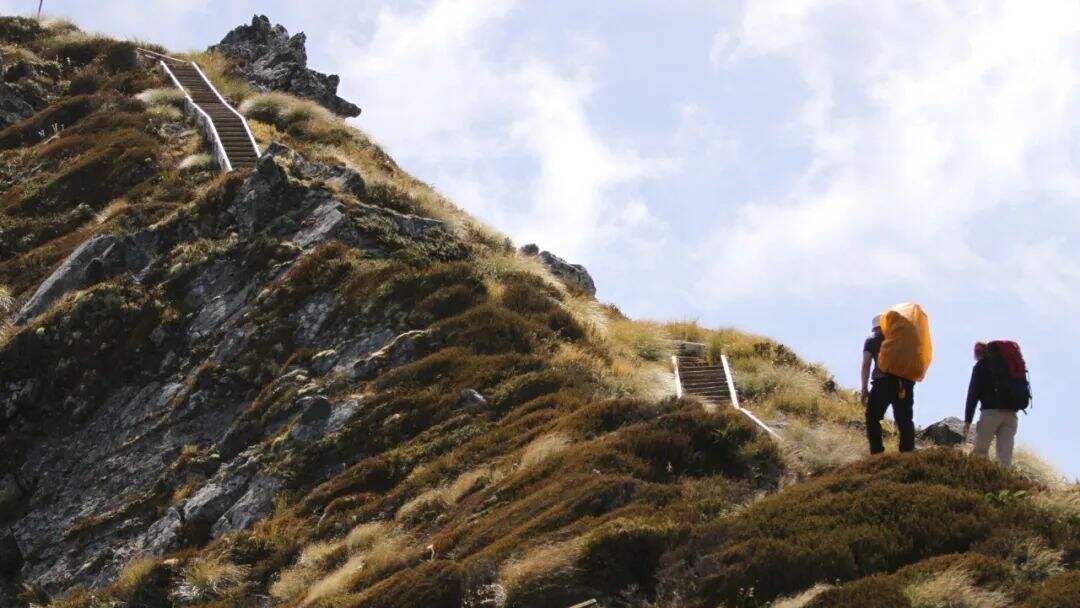 广告人干货库