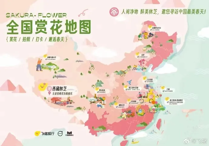 飞猪 × 天猫 × 沃尔沃开启春日巡花记-广告人干货库