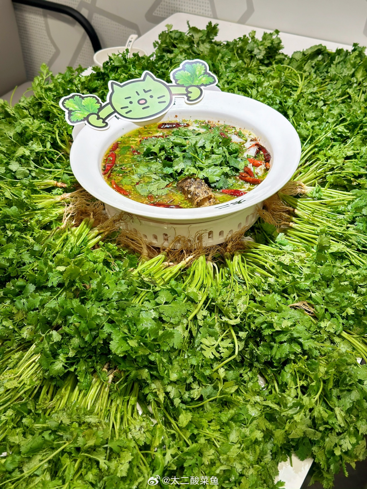 太二携手焦绿猫推出香菜酸菜鱼-广告人干货库