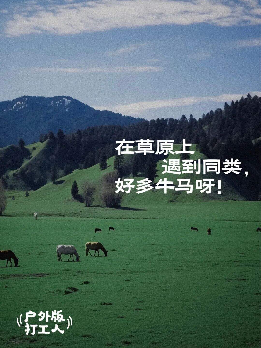 广告人干货库 这 9 句户外文案,打工人看愣住了-广告人干货库