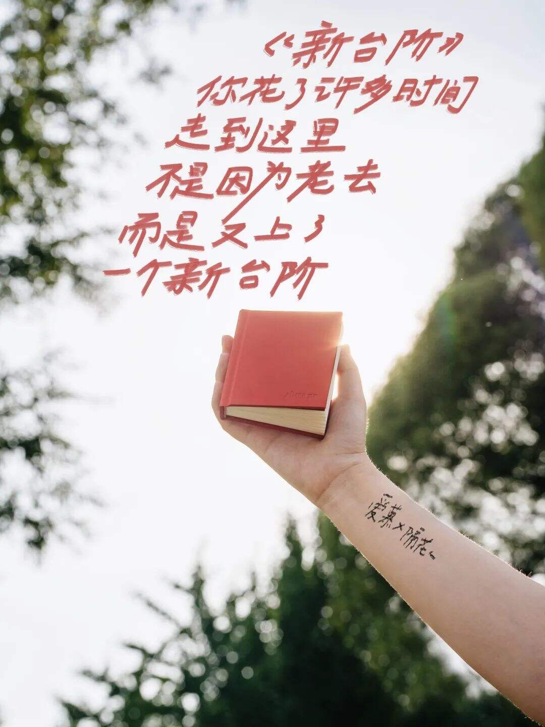 广告人干货库 爱慕×感叹号:真的做一本小红书,让流动的女性力量持续蔓延。-广告人干货库