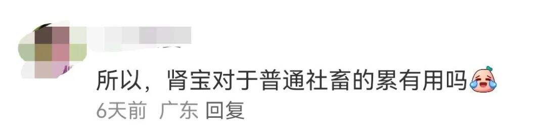 广告人干货库 肾宝户外广告出圈,有种身体被掏空的感觉!-广告人干货库