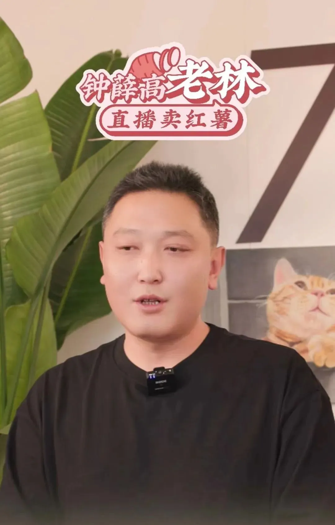 钟薛高创始人卖红薯被指红薯刺客-广告人干货库