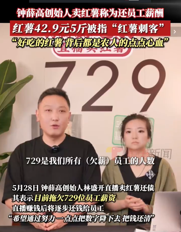 广告人干货库 每周案例公关点评5.27-6.2 | 红十字会 王妈 比亚迪 海底捞 钟薛高 网红医生-广告人干货库