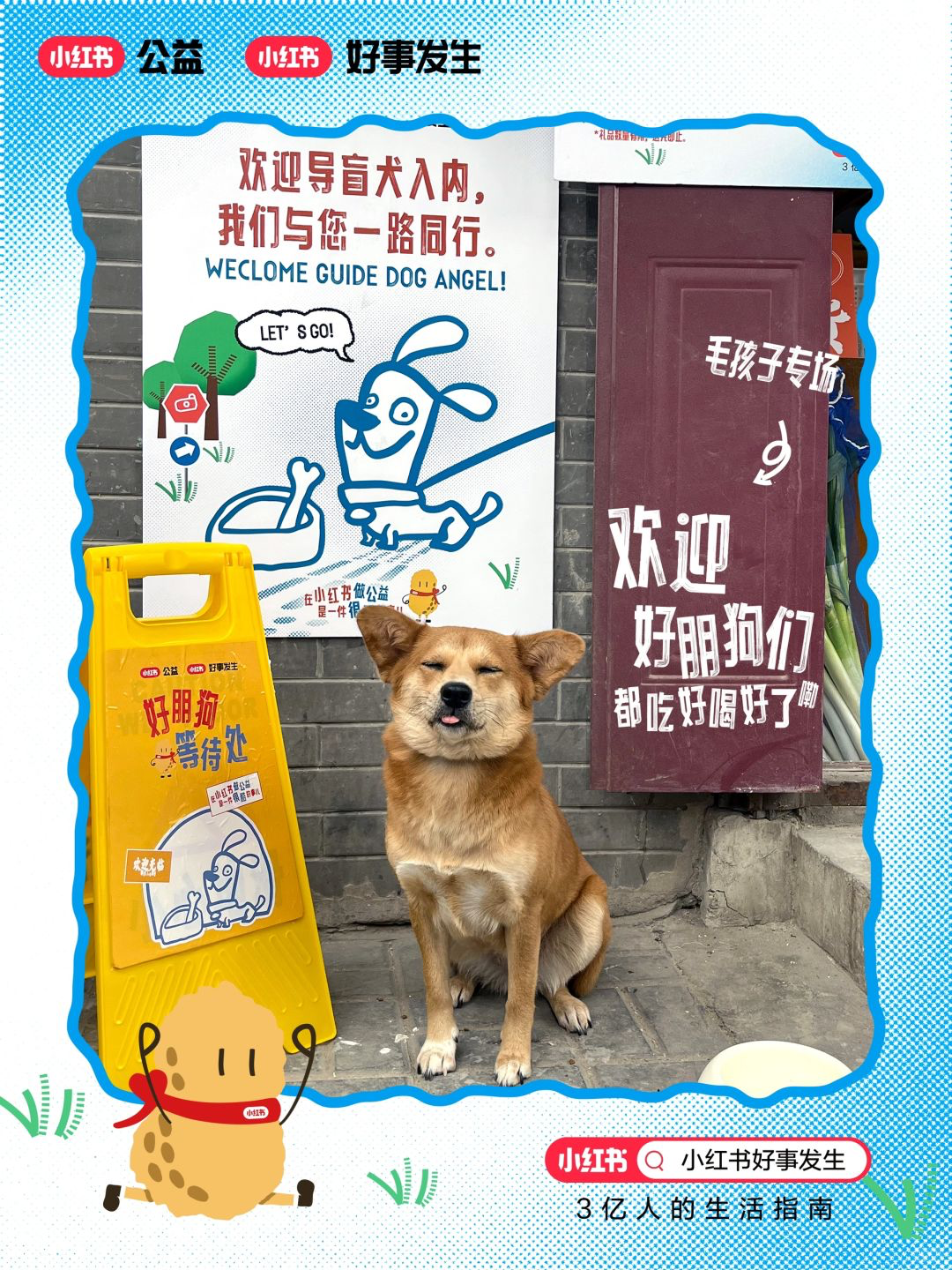 这届小红书网友，好好好-广告人干货库