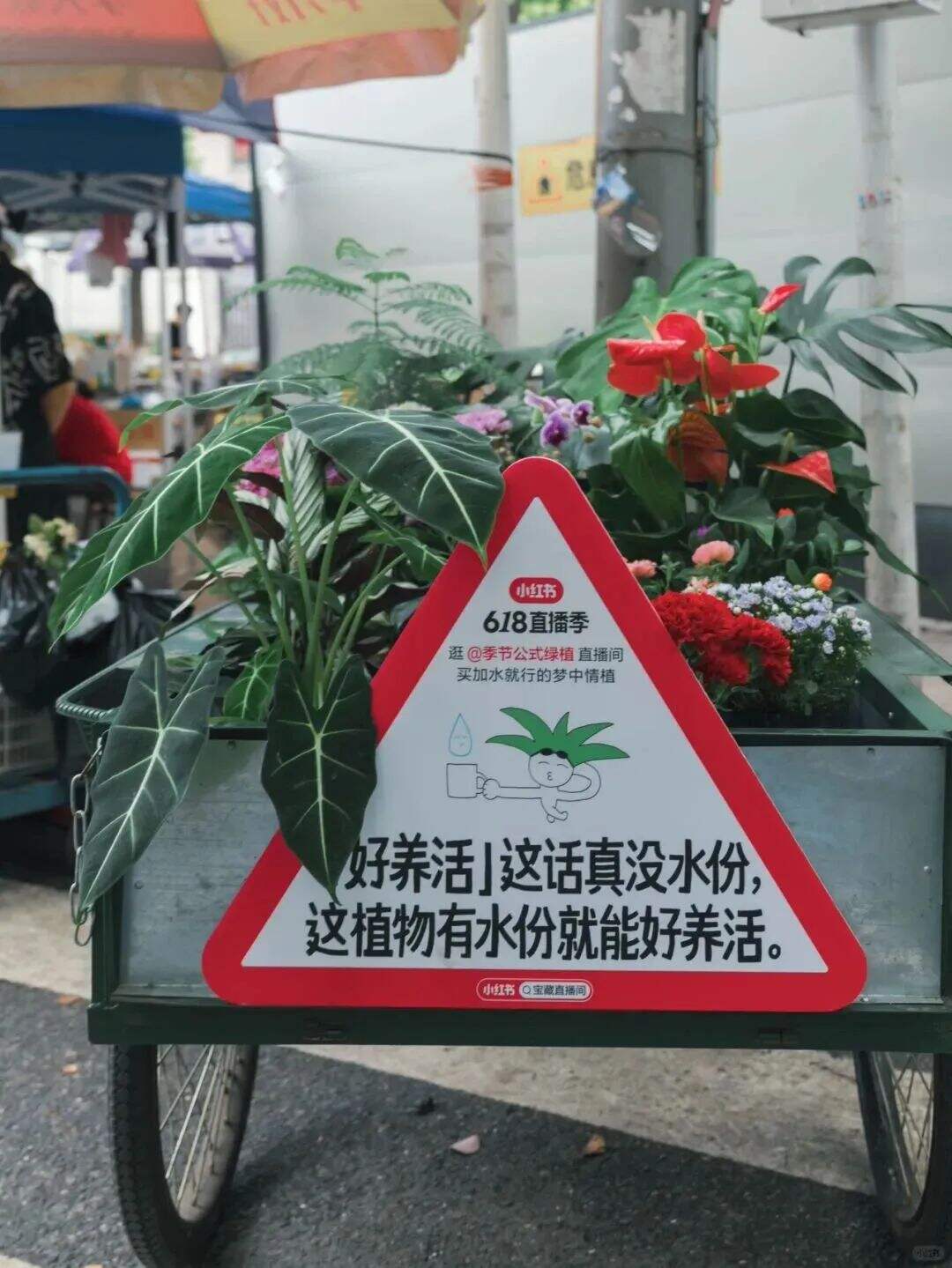 广告人干货库 小红书,街头文案的神!-广告人干货库