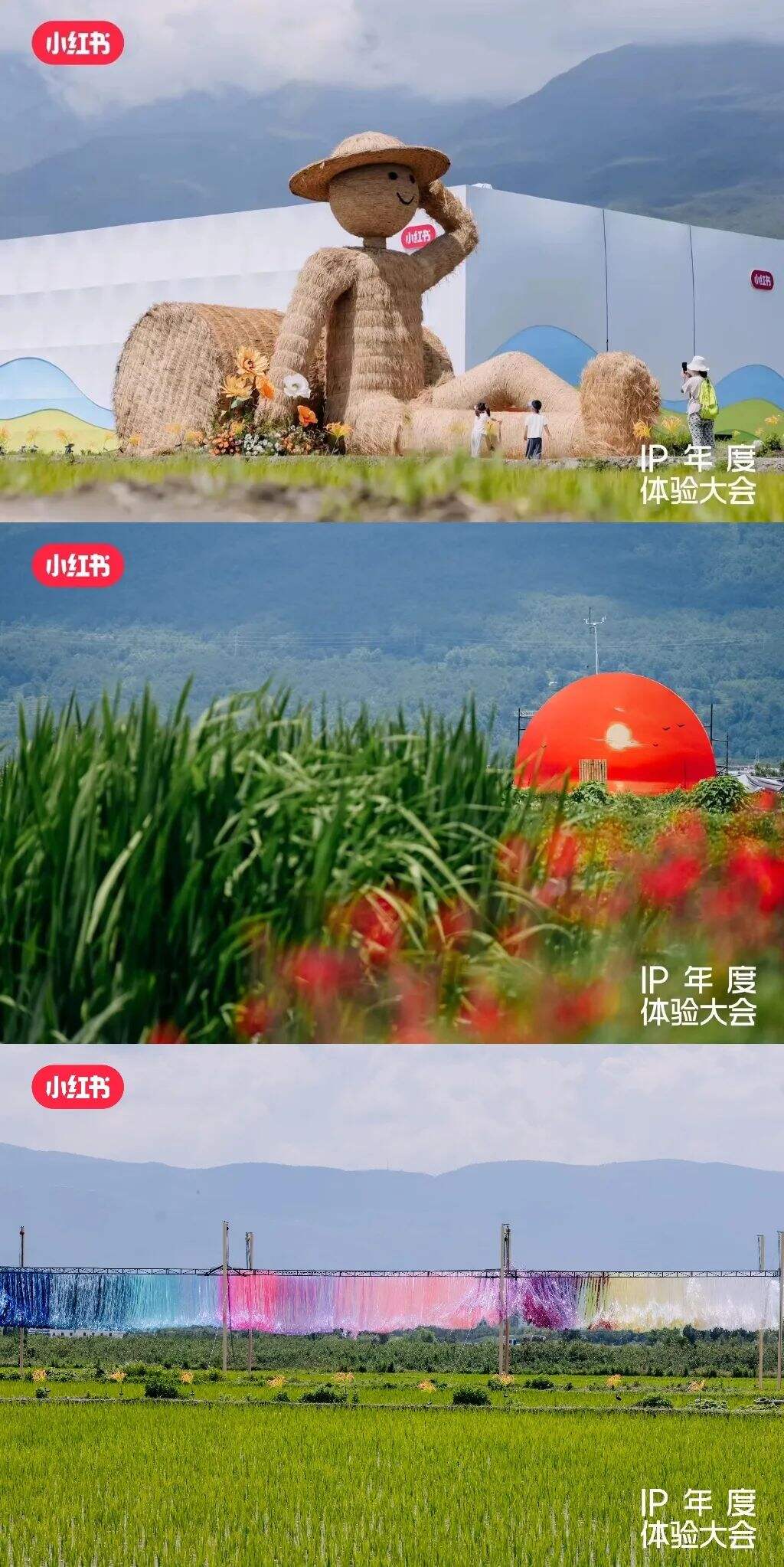 为什么品牌增长，需要小红书IP？-广告人干货库