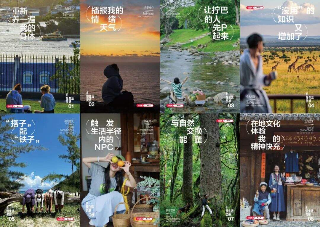 为什么品牌增长，需要小红书IP？-广告人干货库