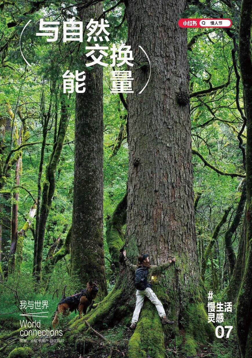 3亿用户提供创意，品牌为何都开始入局小红书营销IP？-广告人干货库