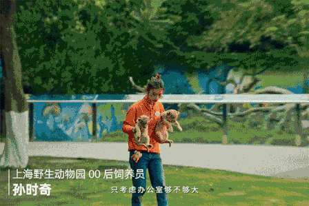 饿了么 X 鸟鸟：这个毕业季，祝愿大家人生处处吃得开-广告人干货库