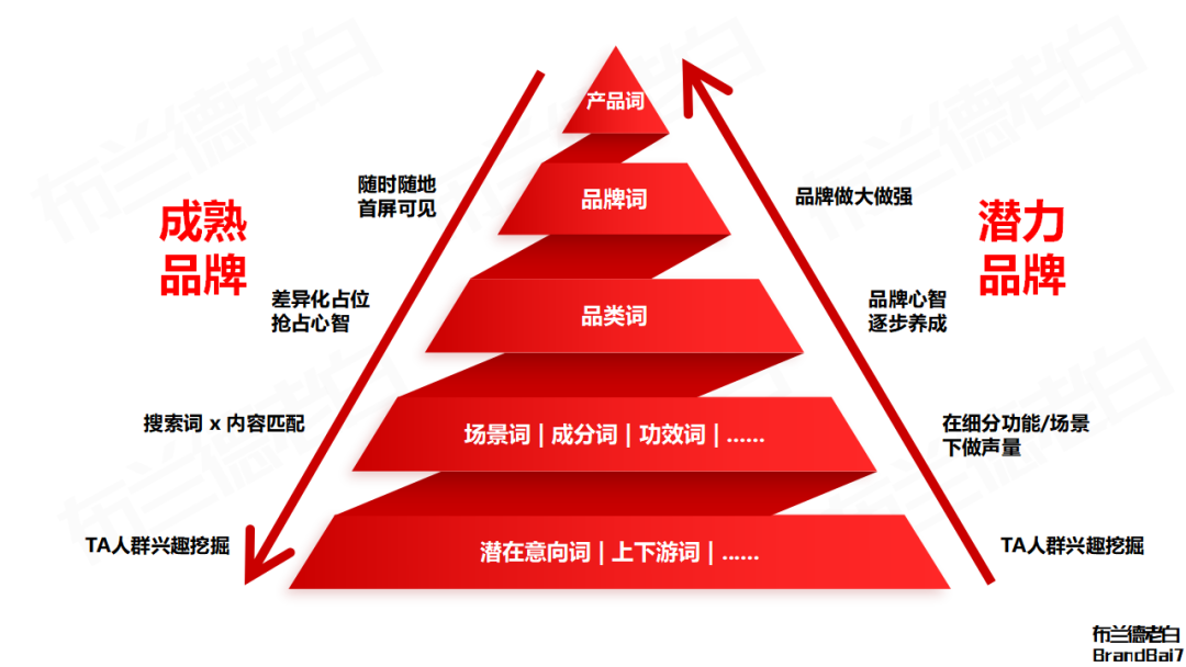 品牌线上增长闭环：抖音破圈，红书卡位，货架承接。-广告人干货库