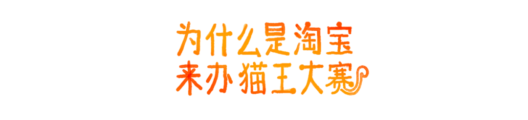 广告人干货库 SOULO # 淘宝猫王大赛 : 每只小猫都万能-广告人干货库