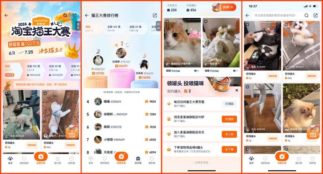 广告人干货库 SOULO # 淘宝猫王大赛 : 每只小猫都万能-广告人干货库
