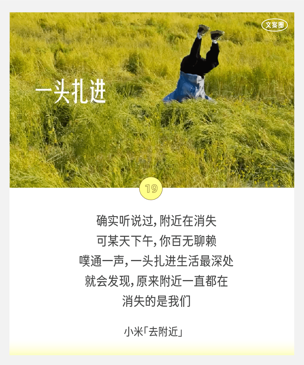 2024上半年，36条品牌文案-广告人干货库