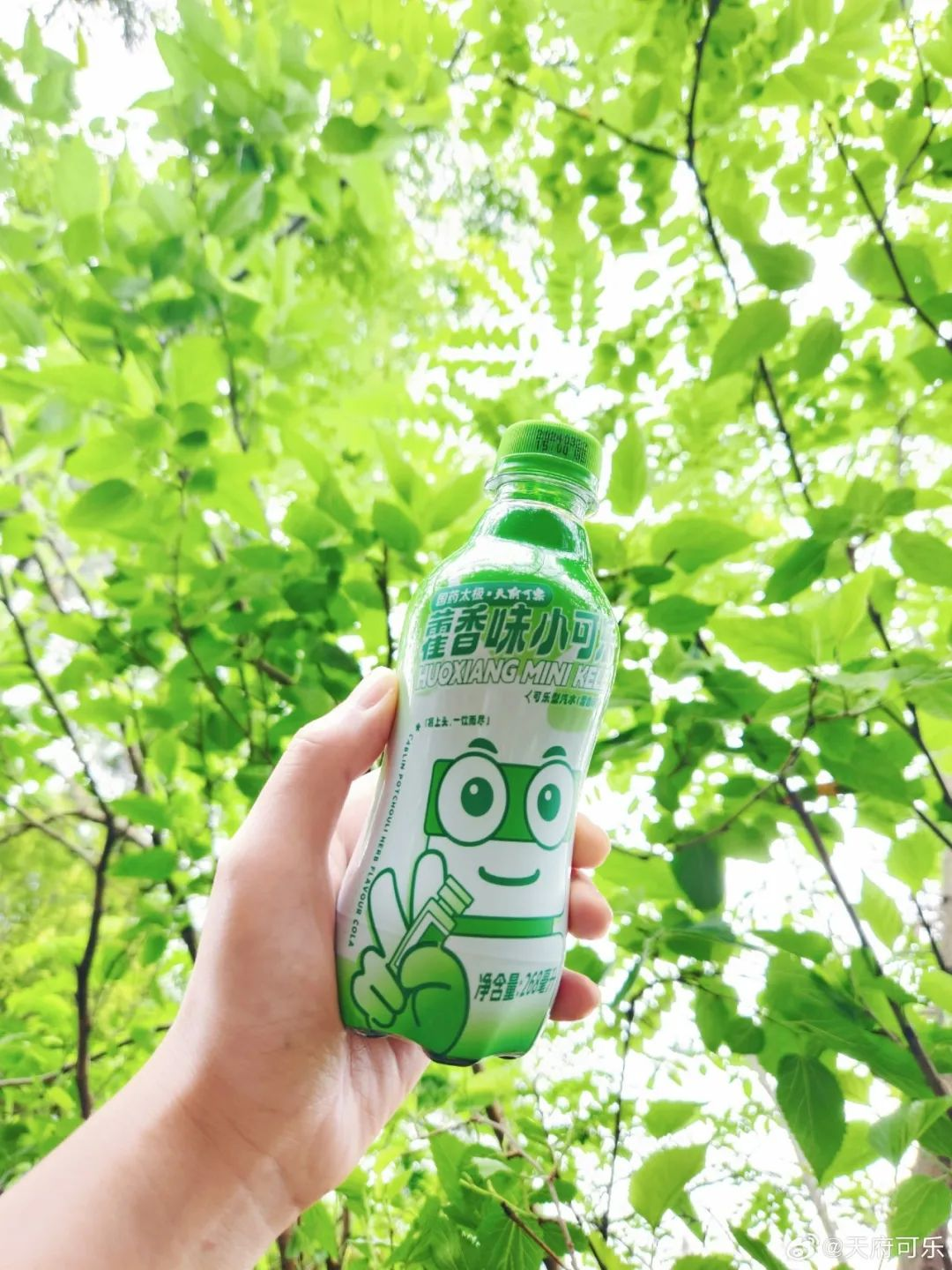 太极藿香x天府可乐新品联名「藿香小可乐」,清凉上头!-广告人干货库