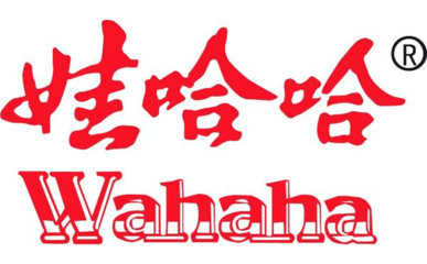宗馥莉接任景宁娃哈哈饮料公司执行董事，完成工商变更-广告人干货库