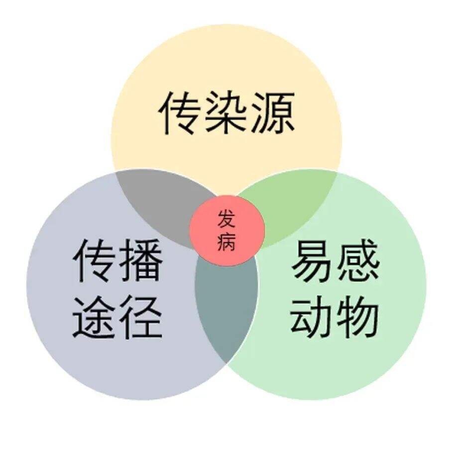 广告人干货库 《黑神话·悟空》的6个营销启示-广告人干货库
