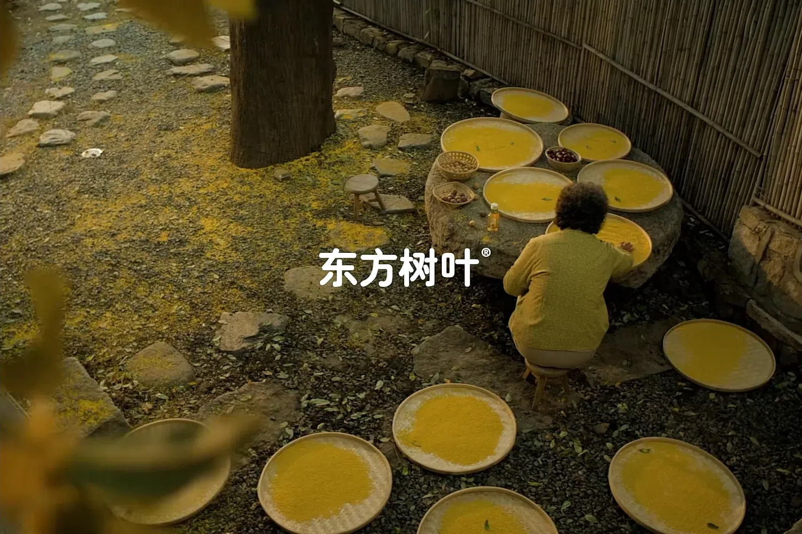 东方树叶桂花乌龙寻香回归-广告人干货库