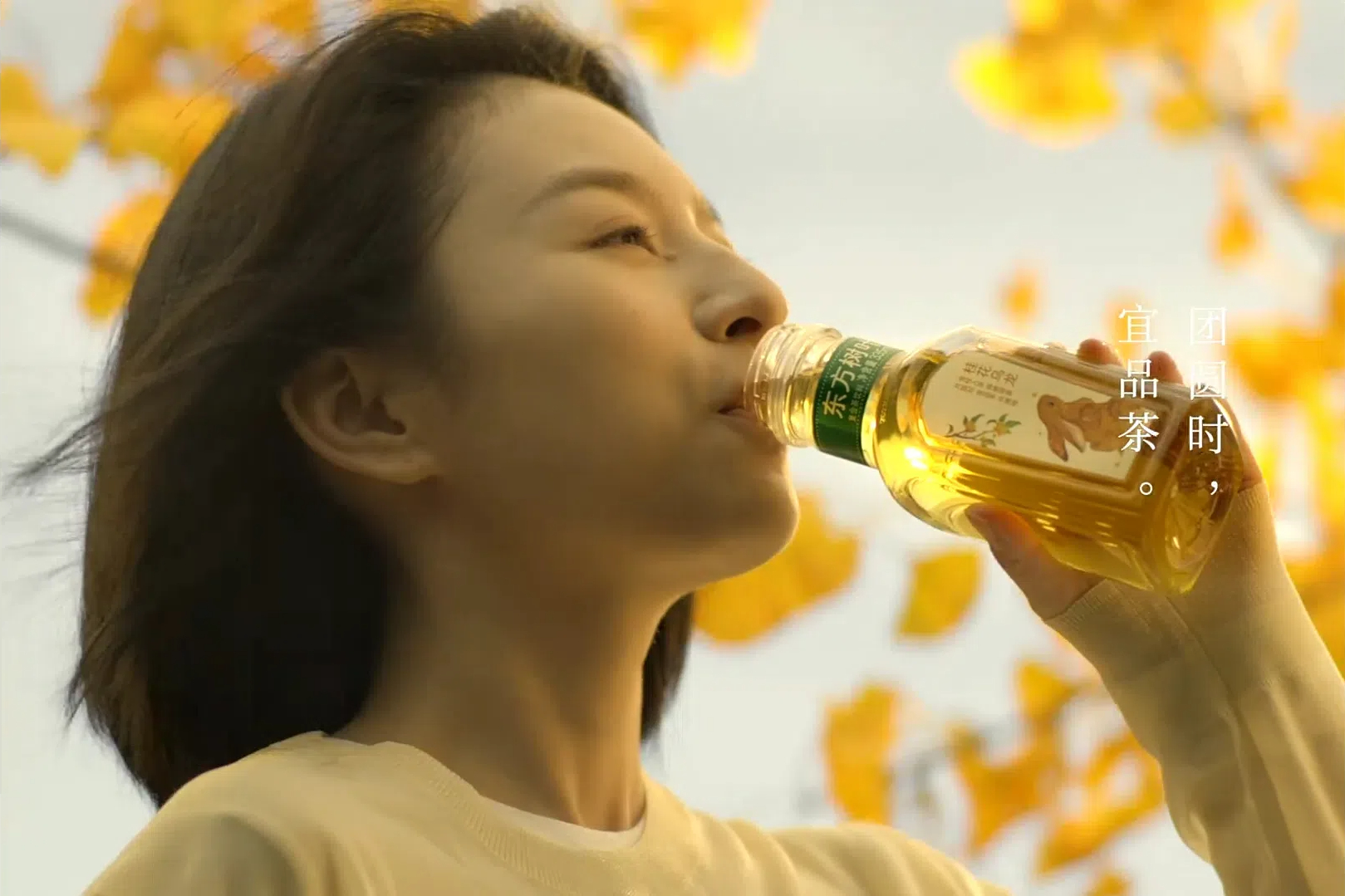 东方树叶桂花乌龙寻香回归-广告人干货库