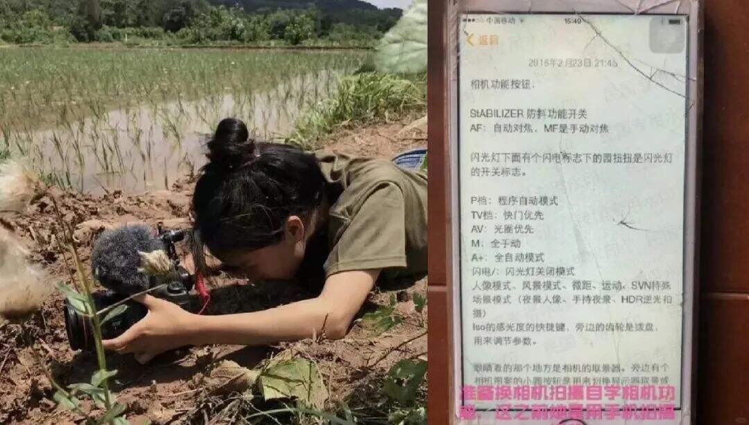 广告人干货库 与微念和解,“李子柒”品牌最终到底归了谁?-广告人干货库