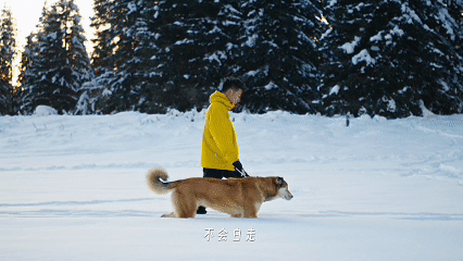 广告人干货库 小红书雪人节:白给的快乐在雪上-广告人干货库