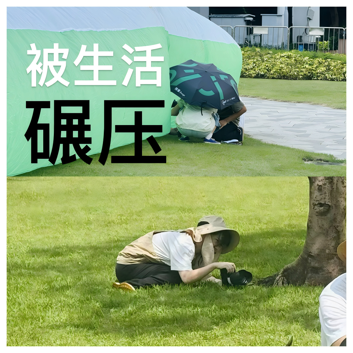 必胜客×Molly：来莫理空间Chill做自己-广告人干货库