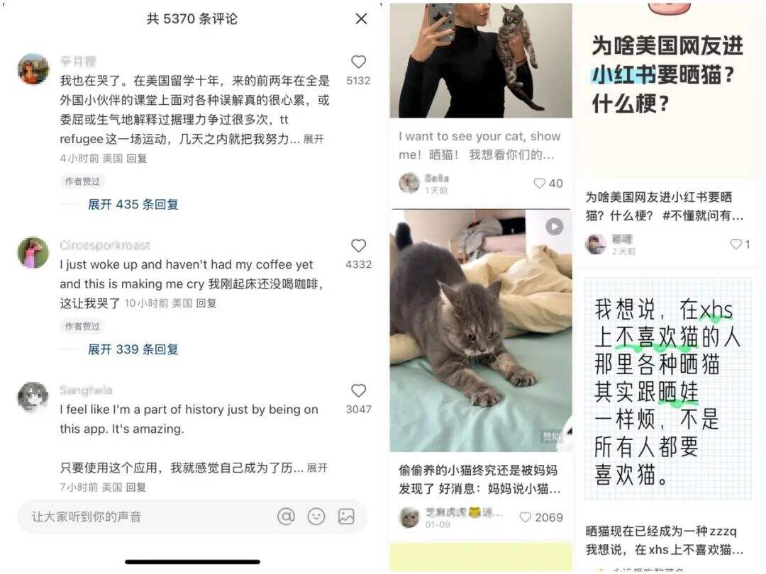 小红书“TikTok难民潮”，迎来“幸福的烦恼”！-广告人干货库