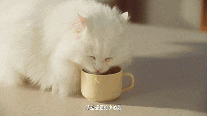 广告人干货库 中好×夸克:一条用得上的AI广告-广告人干货库