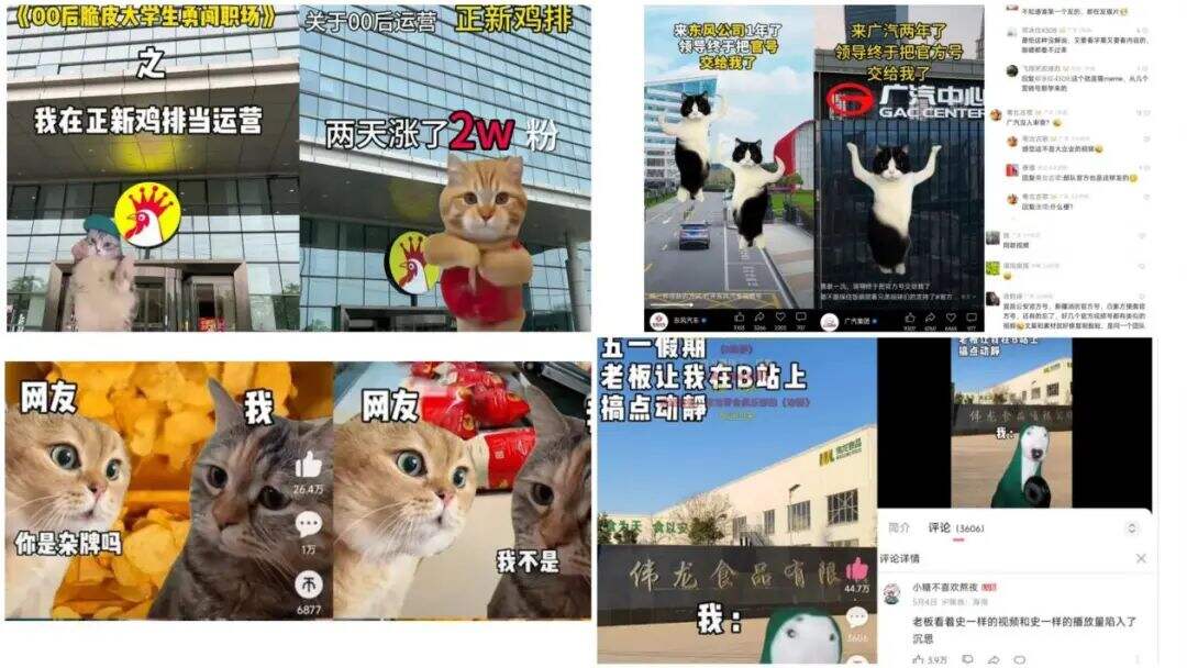 广告人干货库 广告人干货库