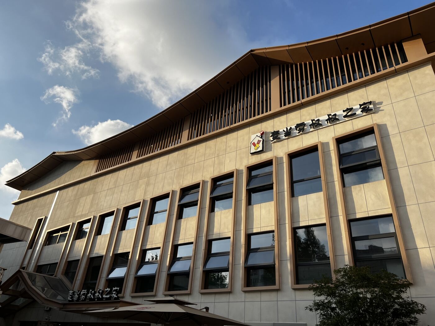 广告人干货库 麦当劳叔叔之家公益活动:长头发的网球-广告人干货库