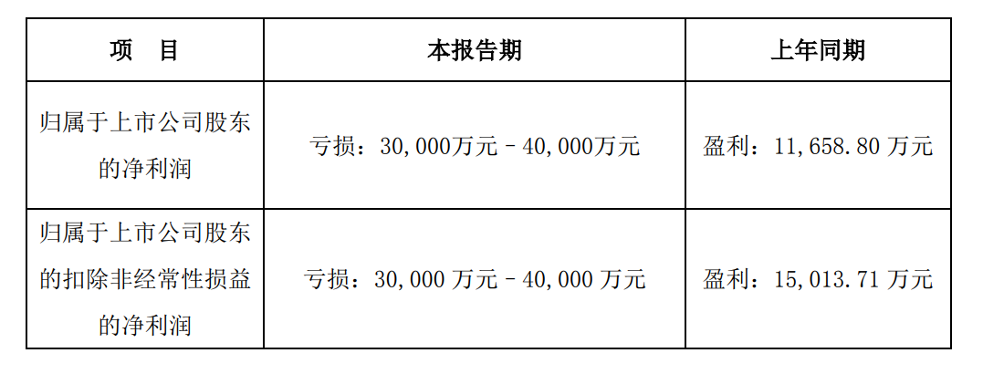 蓝标、思美2024业绩预告:一个亏得多,一个亏得少 蓝标、思美2024业绩预告:一个亏得多,一个亏得少