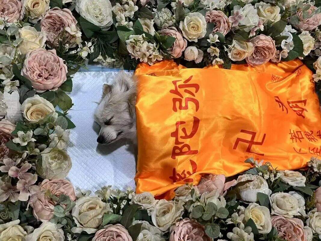 广告人干货库