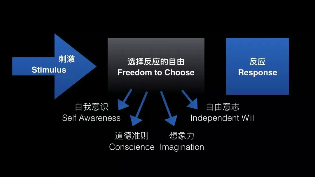 广告人干货库 CMO会做内容,才能做好CEO身后的0-广告人干货库