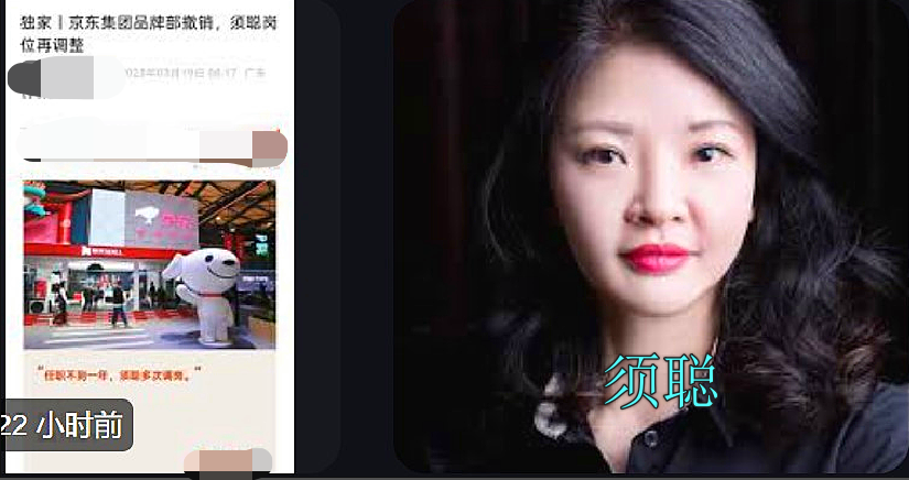 广告人干货库 京东撤品牌部!负责人须聪或因请杨笠“惹祸”,京东年营销费479亿-广告人干货库
