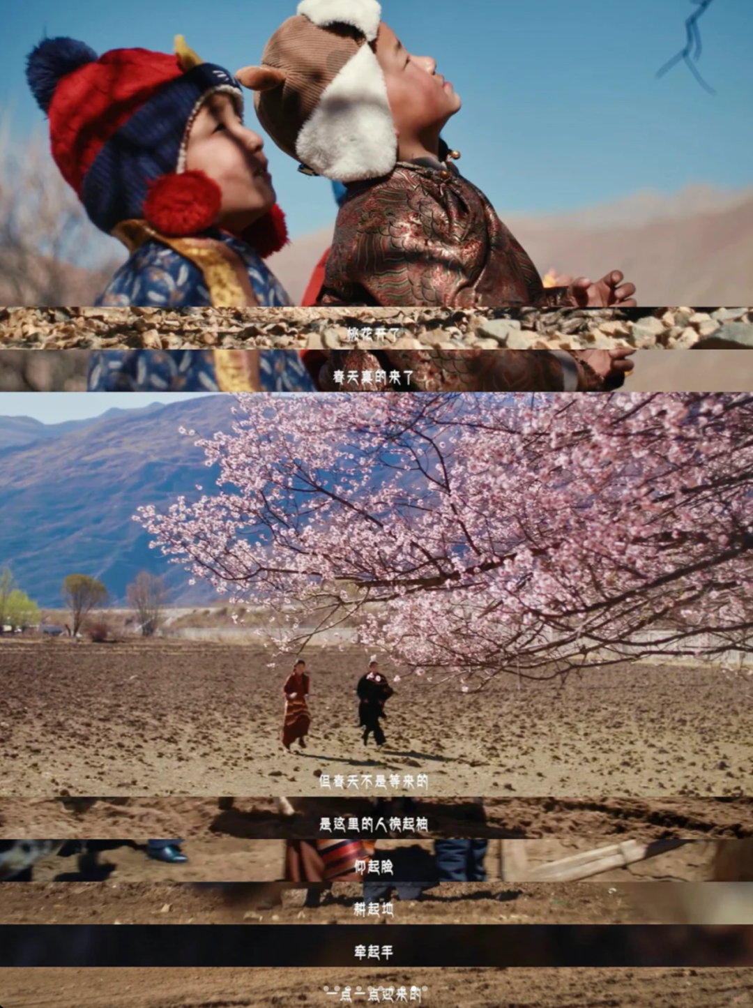 美的：和茨姆去日喀则找春天-广告人干货库