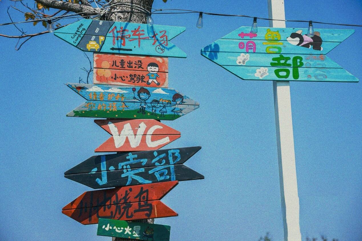 广告人干货库 海底捞31周年,发起「打捞春天」火锅音乐节-广告人干货库