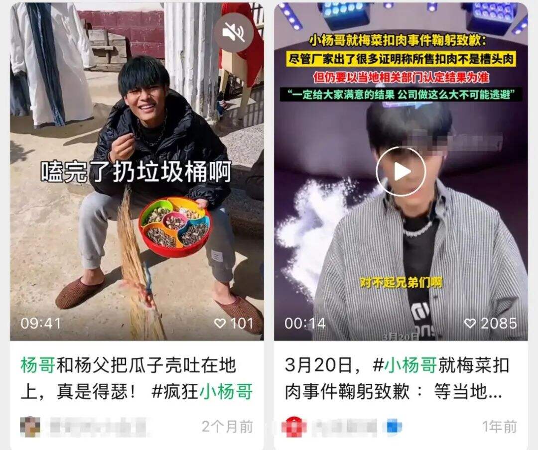 广告人干货库 小杨哥复出,网友们批准了吗?-广告人干货库