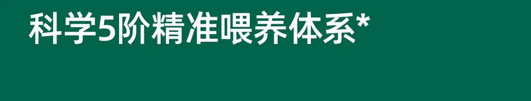 案例拆解丨松鼠跃动×英氏辅食:2.0战略升级,3年品牌认知生态构建全案-广告人干货库