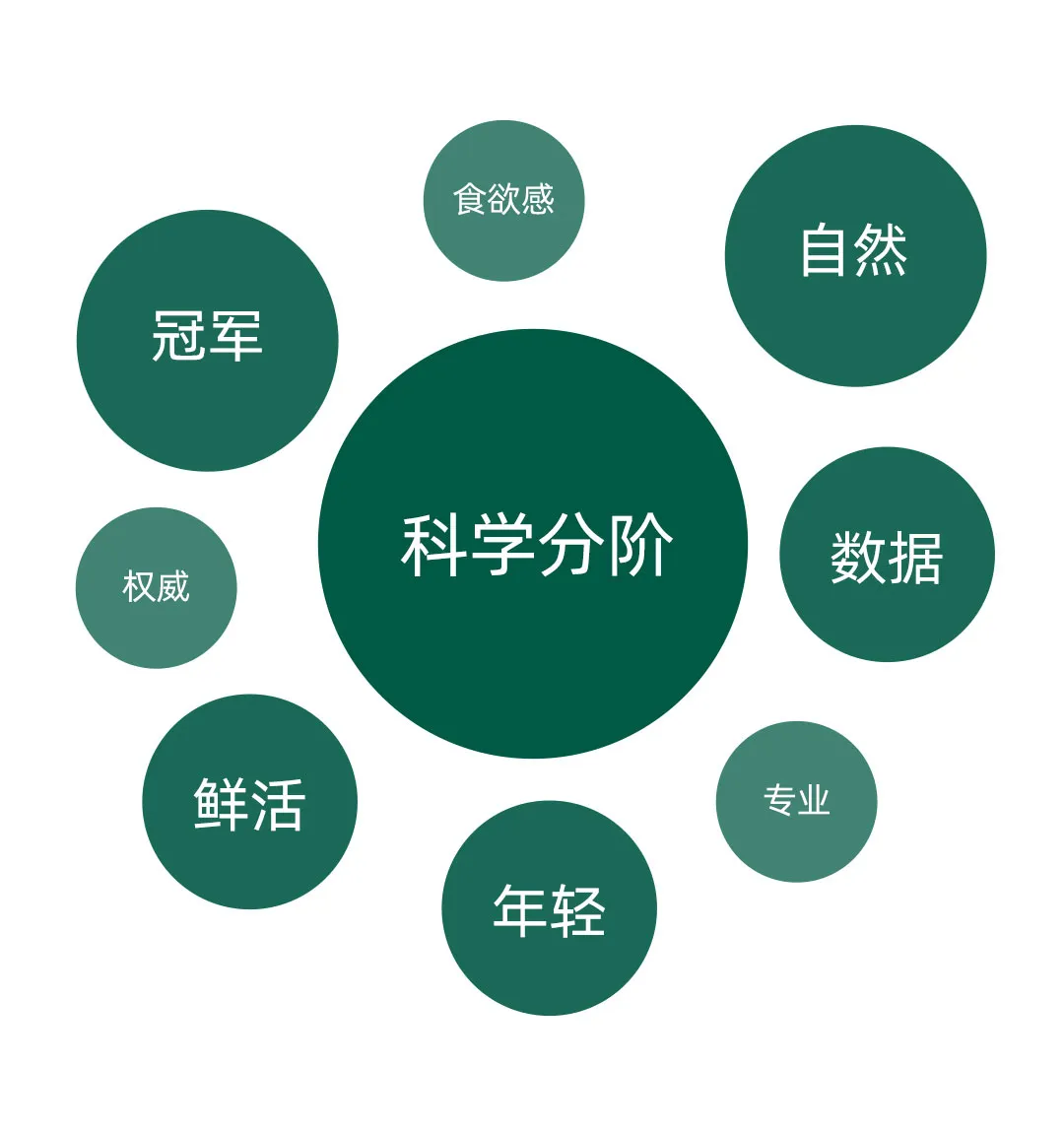 案例拆解丨松鼠跃动×英氏辅食:2.0战略升级,3年品牌认知生态构建全案-广告人干货库
