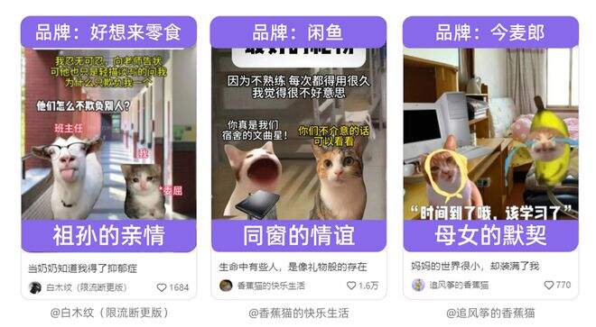 广告人干货库 小红书用户的真实画像有多野?| 角色透视-广告人干货库