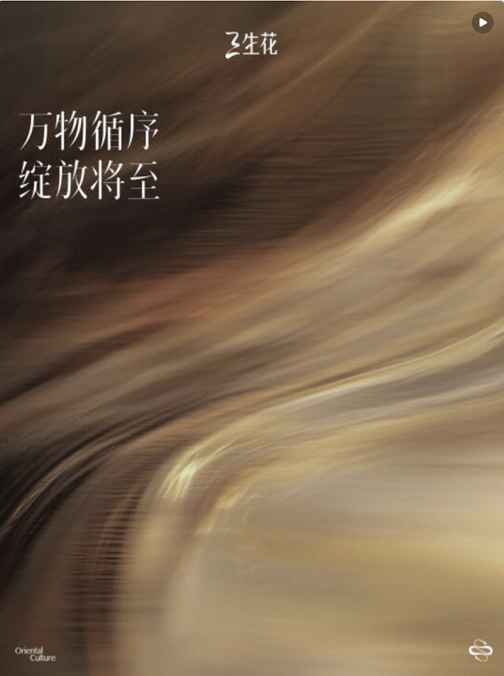 三生花×王安宇：用「晚安语」绽放发丝生命力-广告人干货库