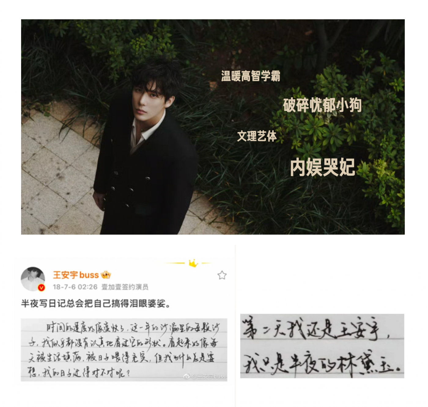广告人干货库 三生花×王安宇:用「晚安语」绽放发丝生命力-广告人干货库