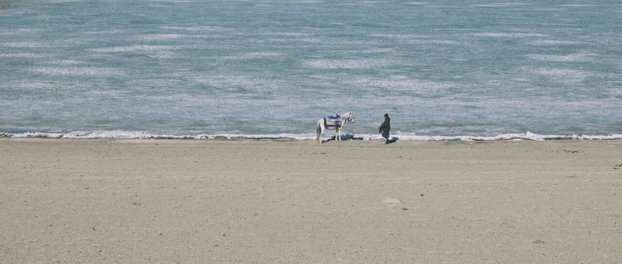 广告人干货库