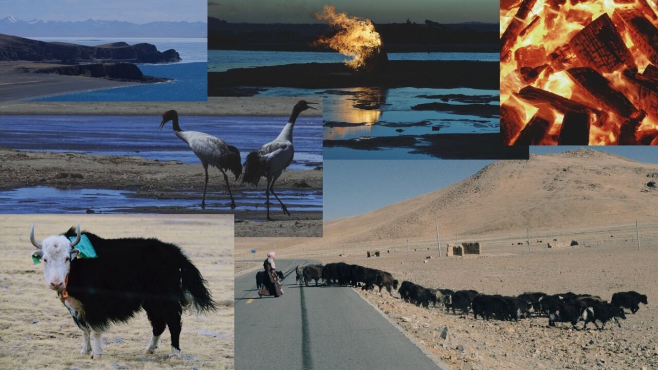广告人干货库