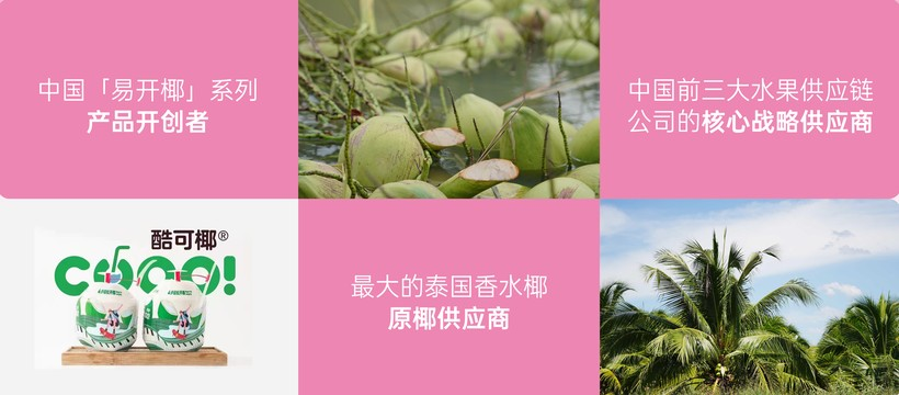 全速案例丨酷可椰新品包装设计-广告人干货库