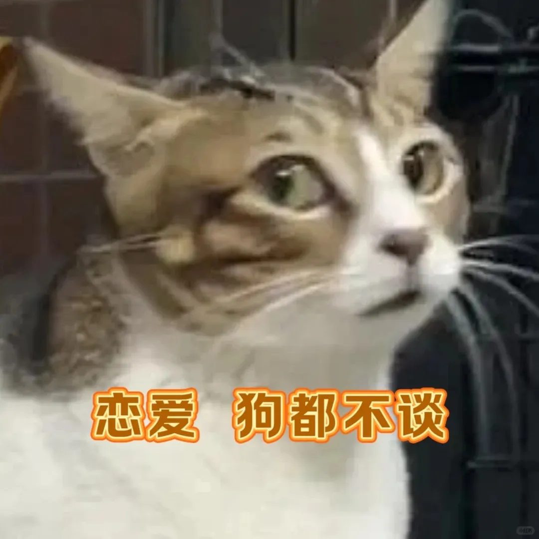 520城市大屏文案好抽象,笑发财了。。。-广告人干货库