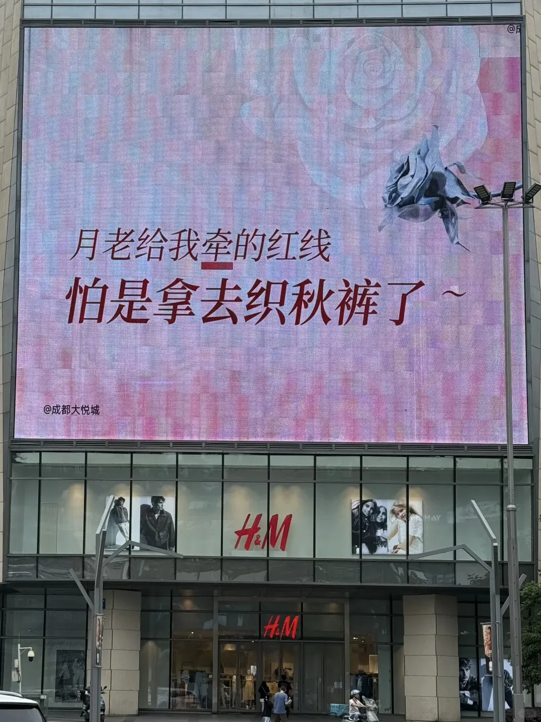 520城市大屏文案好抽象,笑发财了。。。-广告人干货库