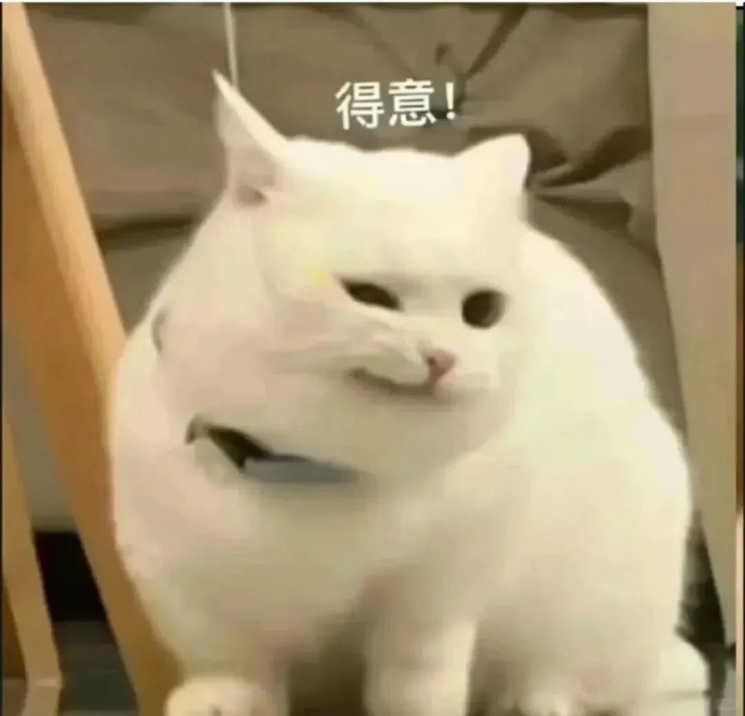 520城市大屏文案好抽象,笑发财了。。。-广告人干货库