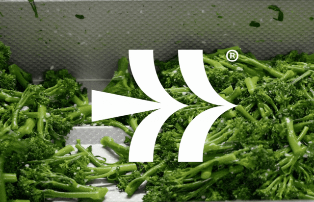 一个素食品牌LOGO设计-广告人干货库