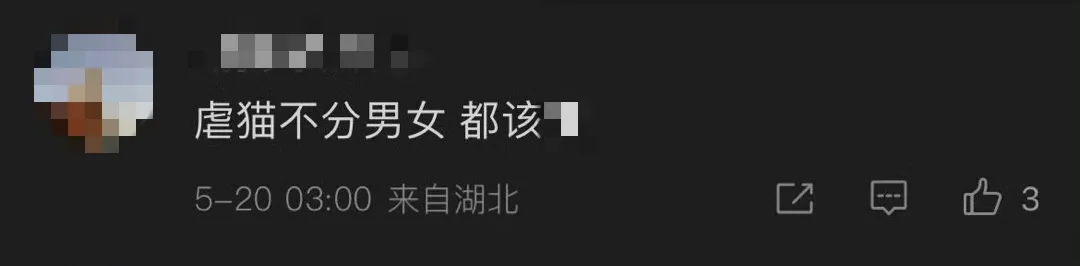 海口“虐猫”事件:他们在用真心传播谣言-广告人干货库
